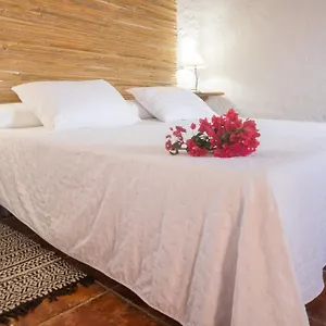 Casa rural Aloe Vera, Huércal-Overa